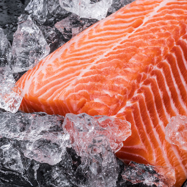 Salmon & Salmon Oil